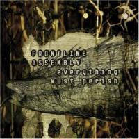 Front line assembly Everything must perish (maxi)
