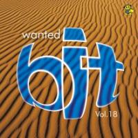 Sek Wanted Bit Vol.18 (Vinyl)