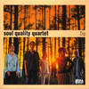 Soul Quality Quartet Dip