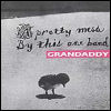 Grandaddy A Pretty Mess By This One Band