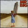 Mr. Big Actual Size