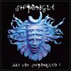 Shpongle Are You Shpongled