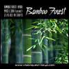 Bamboo Forest Bamboo Forest