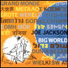 Joe Jackson Big World