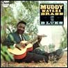 Muddy Waters Brass and the Blues