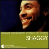 Shaggy Essential