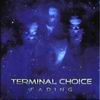 Terminal Choice Fading