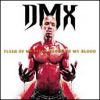 DMX Flesh Of My Flesh... Blood Of My Blood