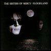 Sisters of Mercy Floodland