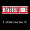 Hayseed Dixie Hillbilly Tribute To AC/DC