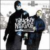 Naughty By Nature Icons