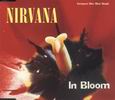 Nirvana In Bloom (Selected Tracks)